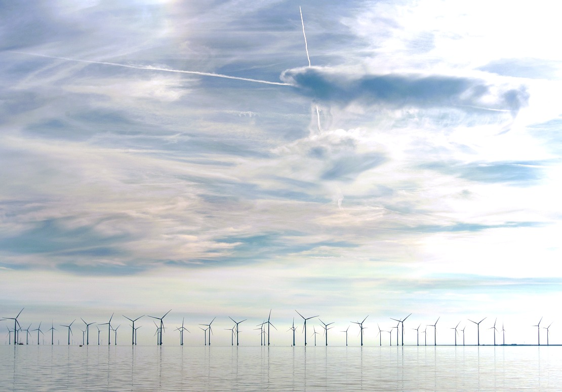 Flock of barnacle geese in flight — representing scale and ambition in renewable investment