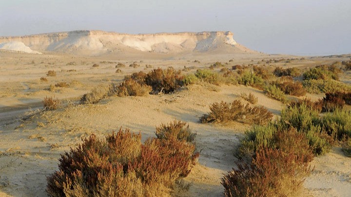 Extreme weather and worker safety in desert conditions